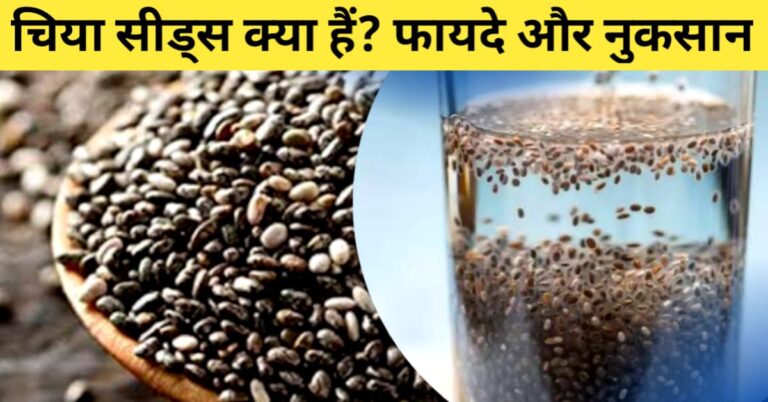 Chia Seeds Kya Hai चिया सीड्स के फायदे और नुकसान